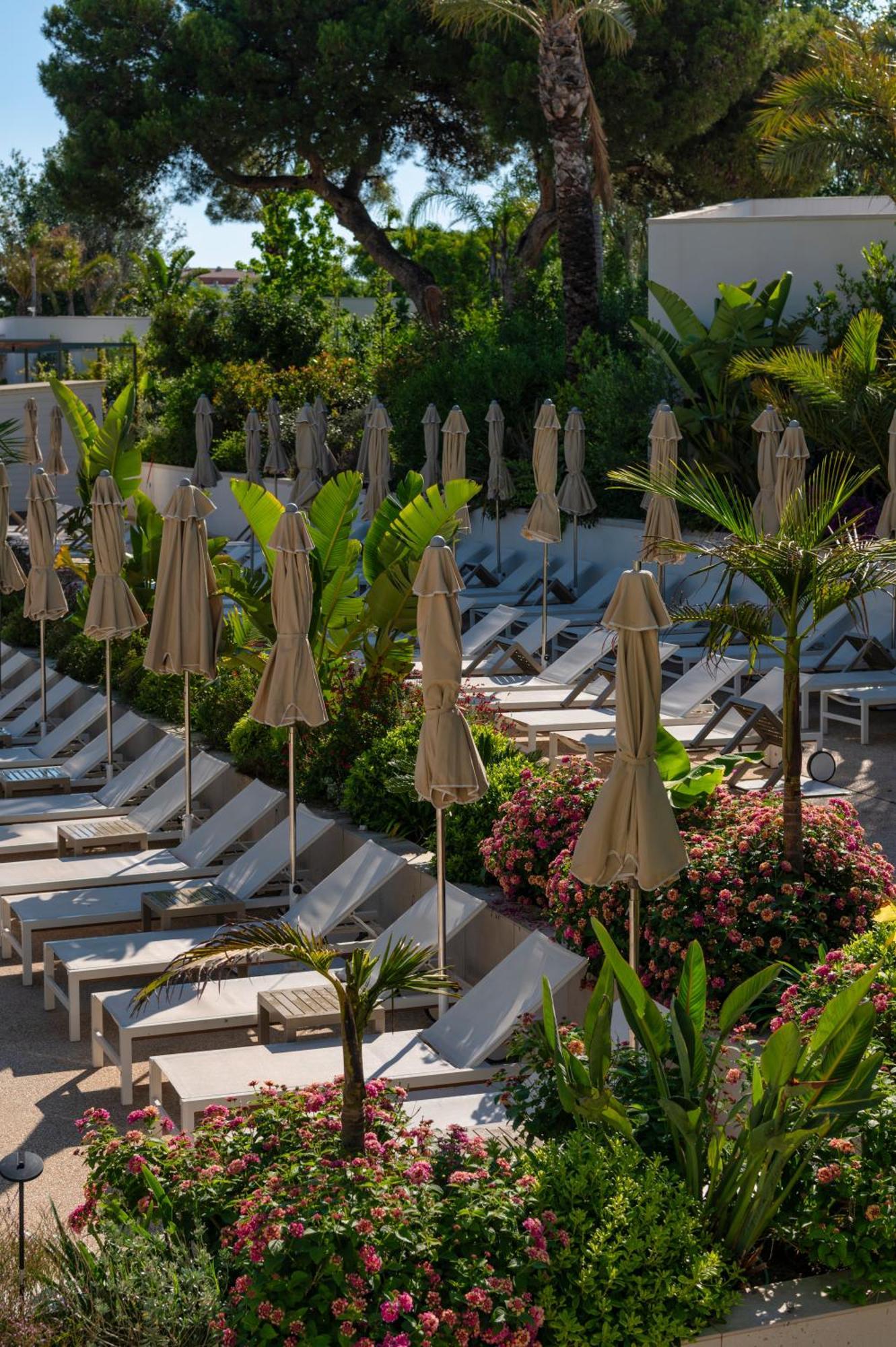 Atzavara Hotel & Spa Santa Susanna Zewnętrze zdjęcie Sunloungers at a hotel in Greece